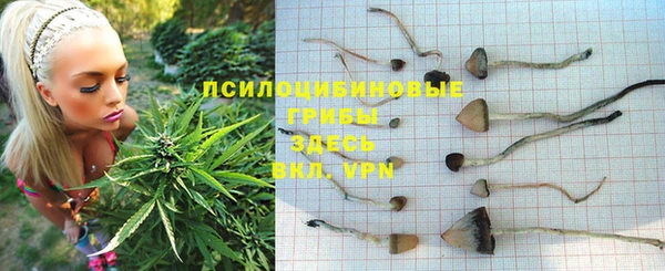 дмт Алексеевка
